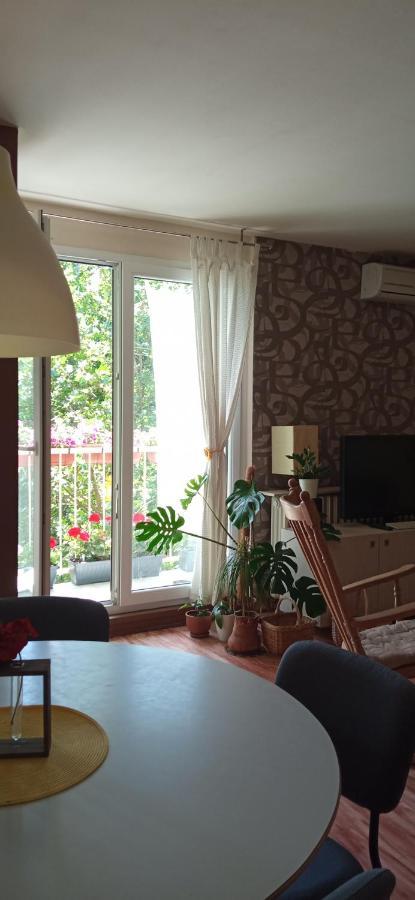 Branysol Apartman Novi Sad Buitenkant foto
