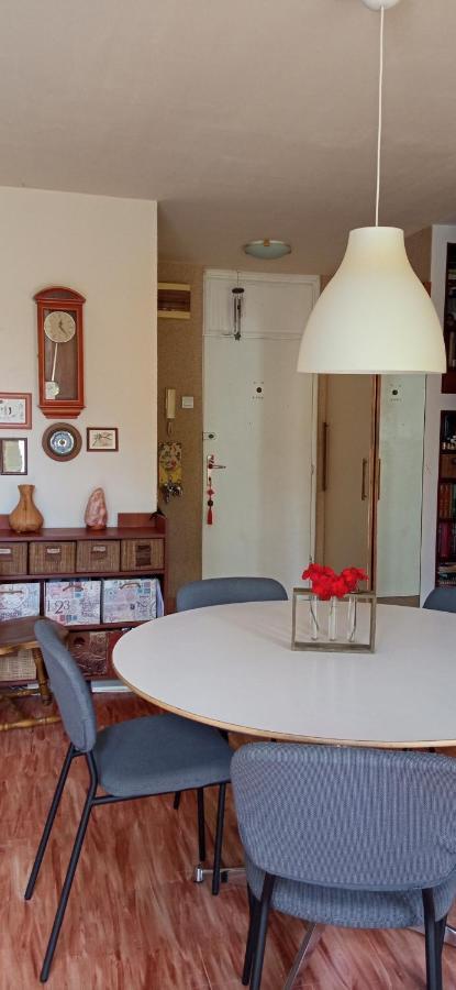 Branysol Apartman Novi Sad Buitenkant foto