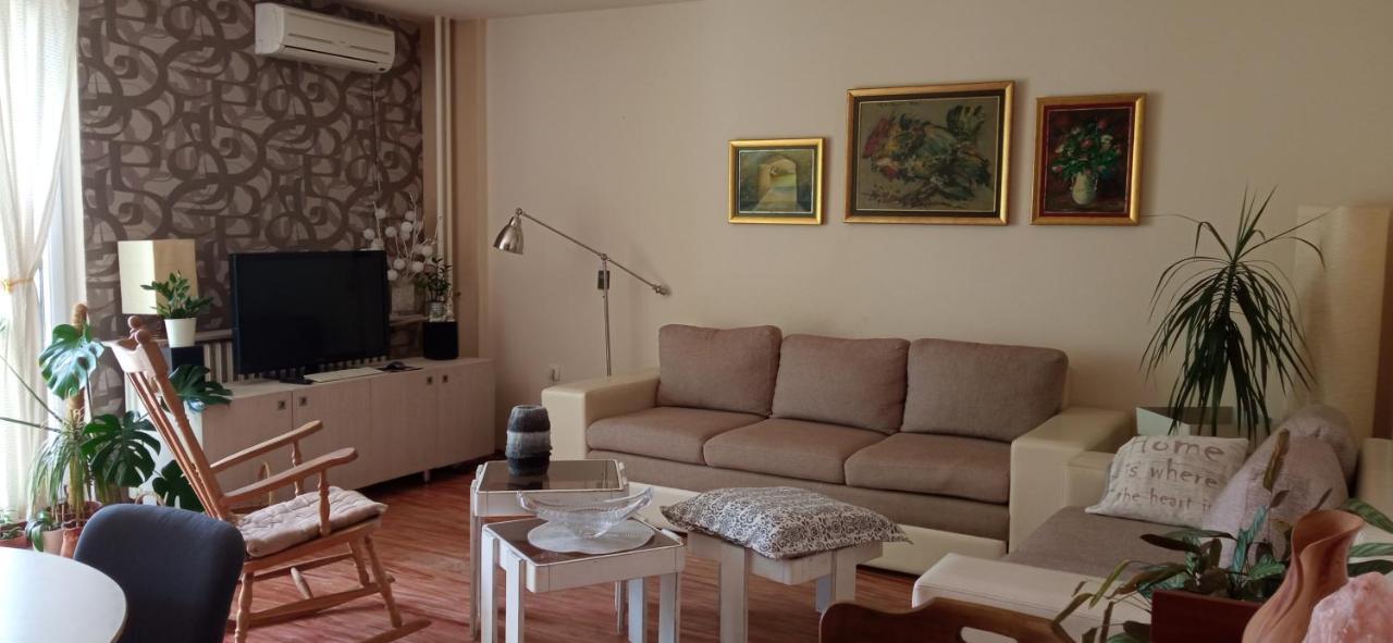Branysol Apartman Novi Sad Buitenkant foto