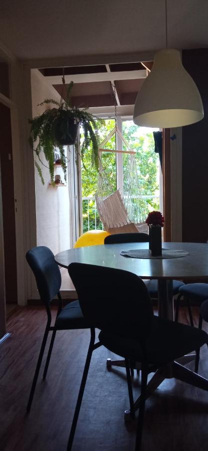 Branysol Apartman Novi Sad Buitenkant foto